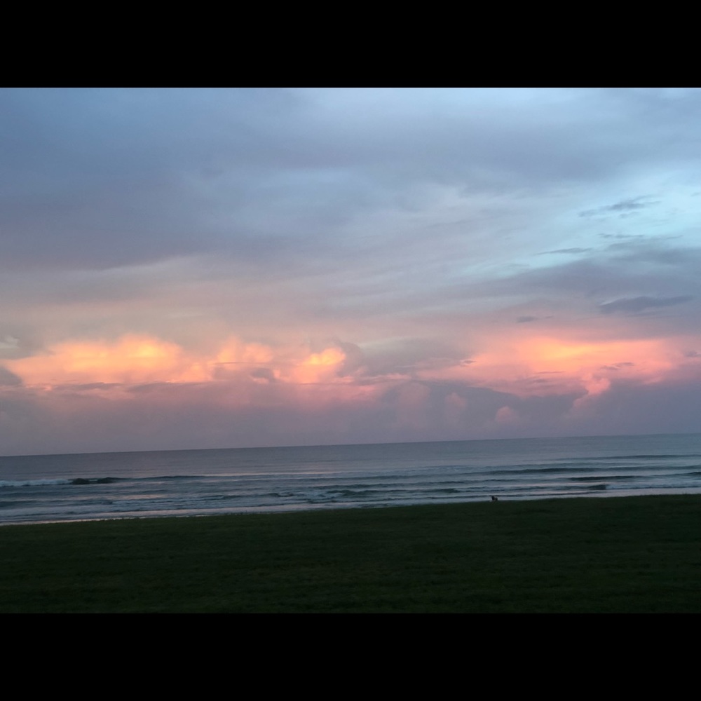 Meet your Posher, Susannah